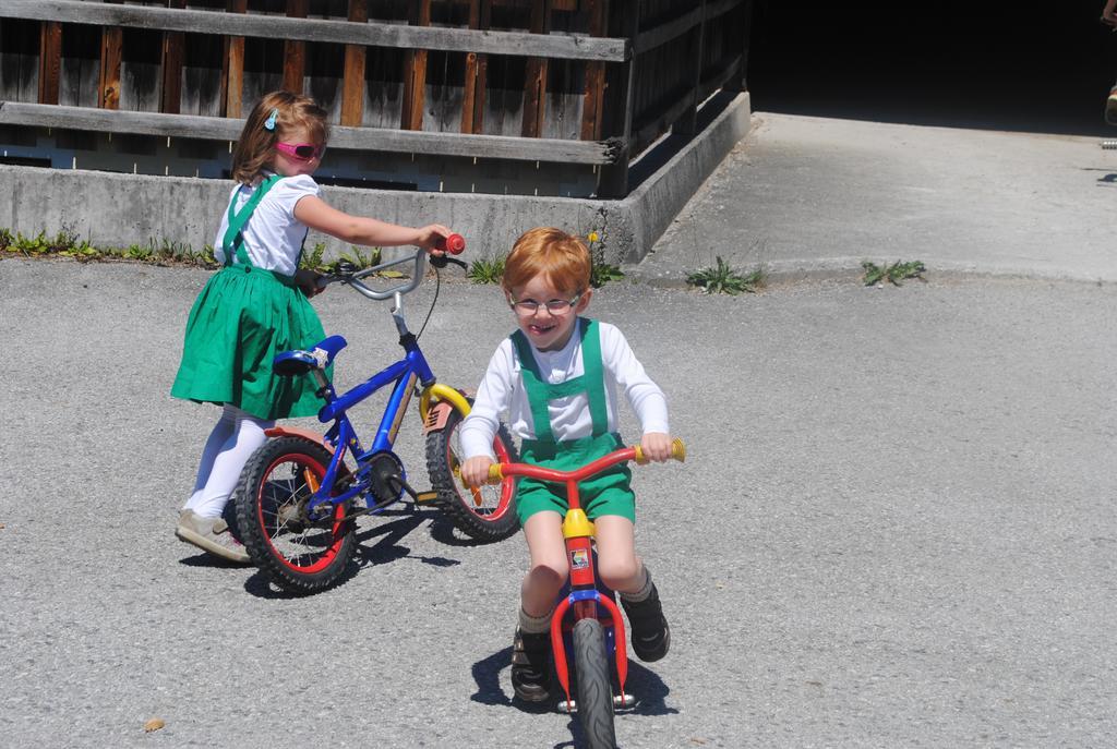 Familien-Bauernhof Neumoar Daire Sankt Johann im Pongau Dış mekan fotoğraf
