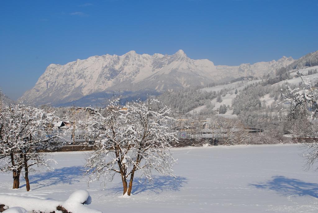 Familien-Bauernhof Neumoar Daire Sankt Johann im Pongau Dış mekan fotoğraf