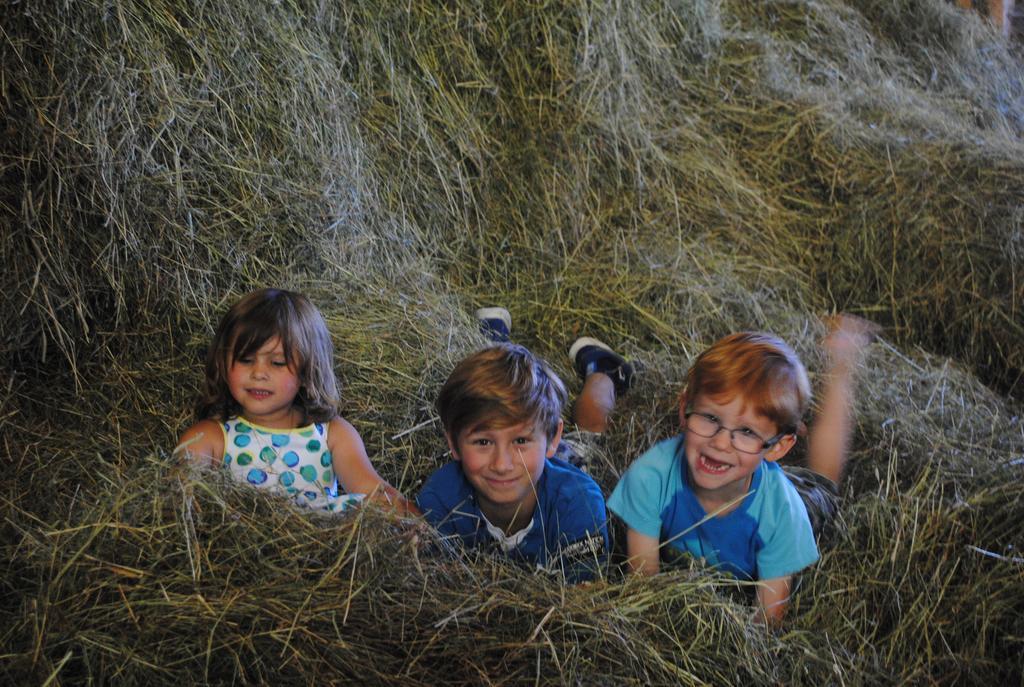 Familien-Bauernhof Neumoar Daire Sankt Johann im Pongau Dış mekan fotoğraf