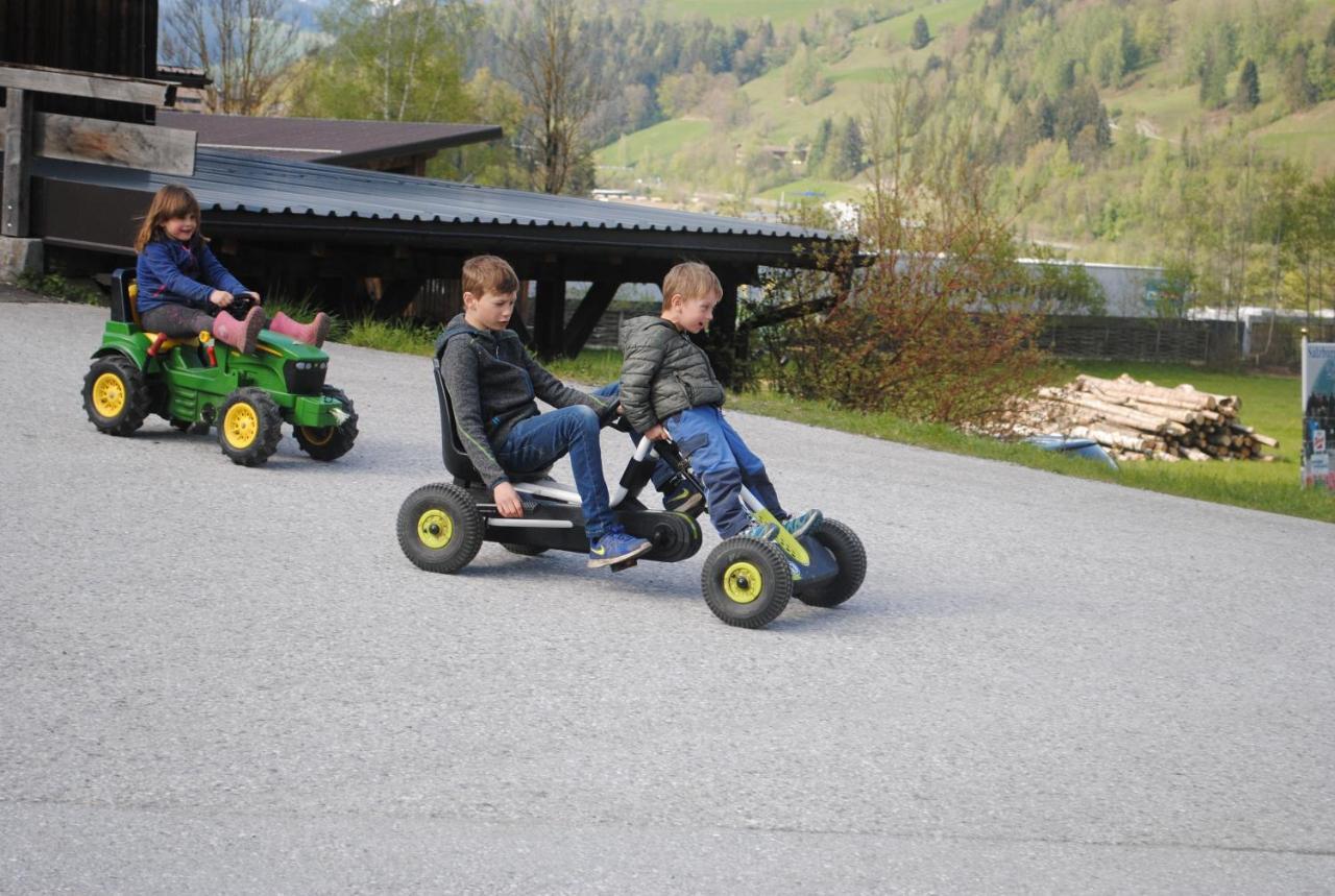 Familien-Bauernhof Neumoar Daire Sankt Johann im Pongau Dış mekan fotoğraf